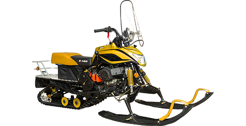 02_Dingo_150_Yellow.png